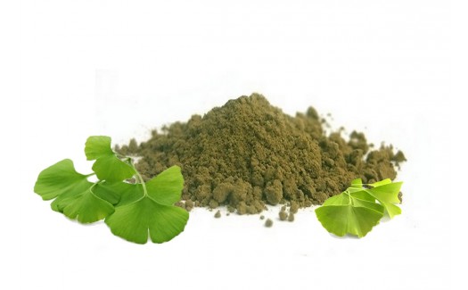 Ginkgo Biloba Leaves Powder